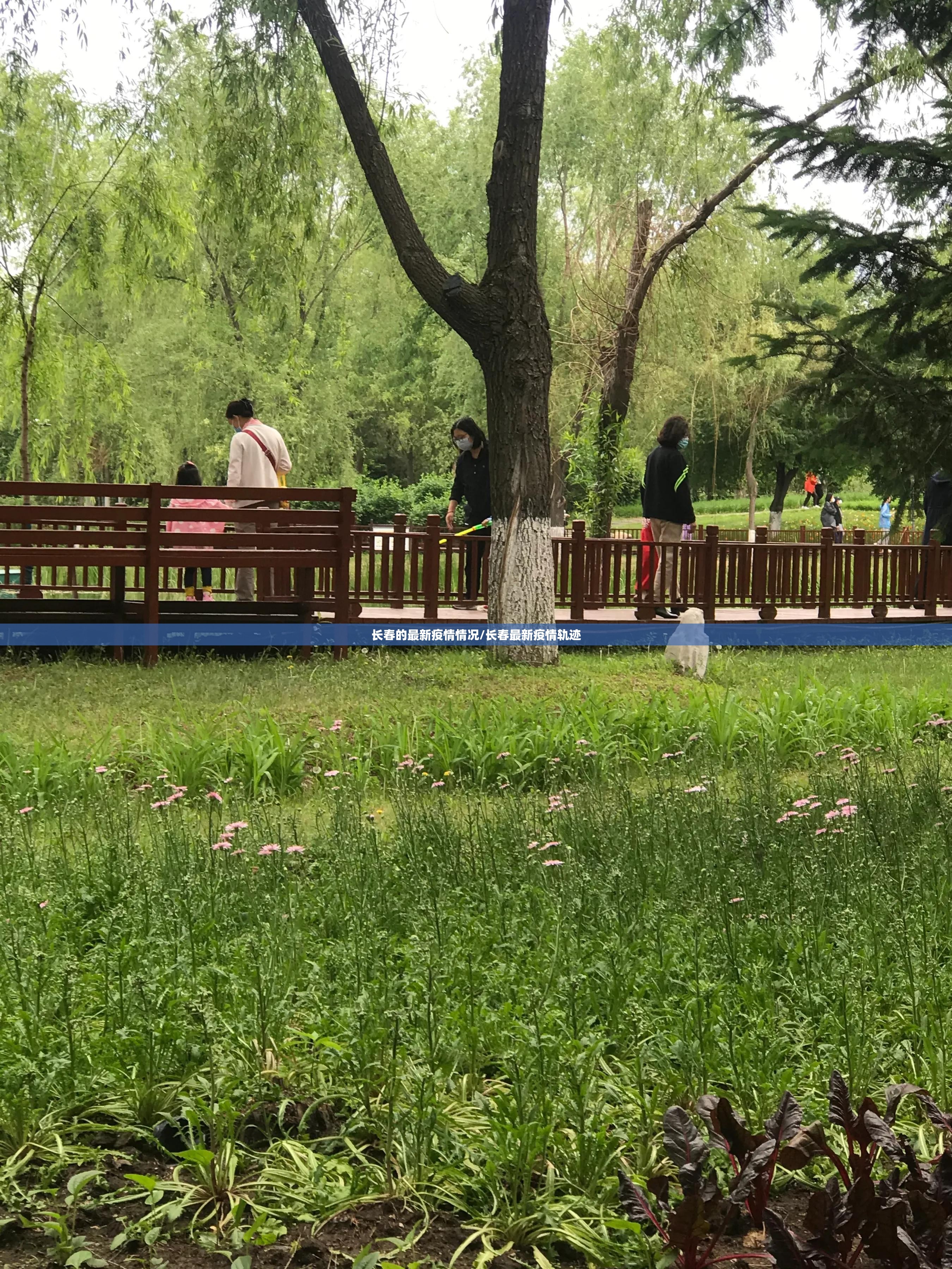 长春的最新疫情情况/长春最新疫情轨迹 长春的最新疫情情况/长春最新疫情轨迹