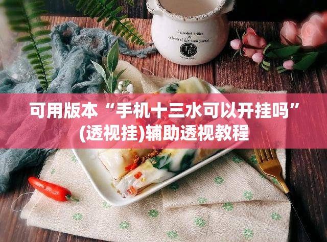 可用版本“手机十三水可以开挂吗”(透视挂)辅助透视教程