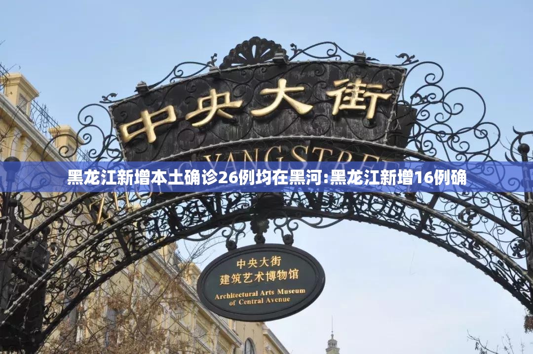 黑龙江新增本土确诊26例均在黑河:黑龙江新增16例确