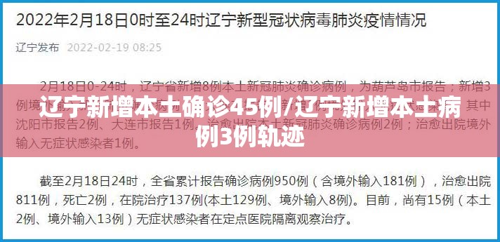 辽宁新增本土确诊45例/辽宁新增本土病例3例轨迹 辽宁新增本土确诊45例/辽宁新增本土病例3例轨迹