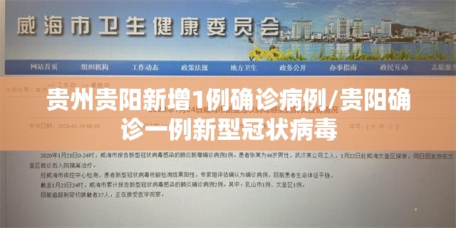 贵州贵阳新增1例确诊病例/贵阳确诊一例新型冠状病毒 贵州贵阳新增1例确诊病例/贵阳确诊一例新型冠状病毒