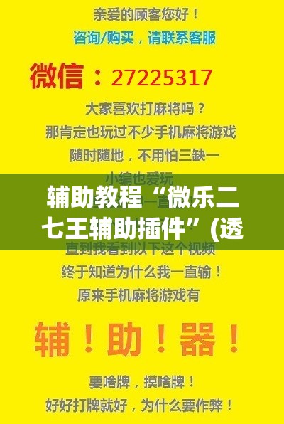 辅助教程“微乐二七王辅助插件”(透视挂)辅助透视教程
