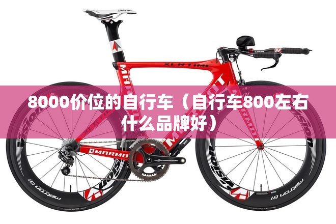 8000价位的自行车(自行车800左右什么品牌好) 8000价位的自行车(自行车800左右什么品牌好)