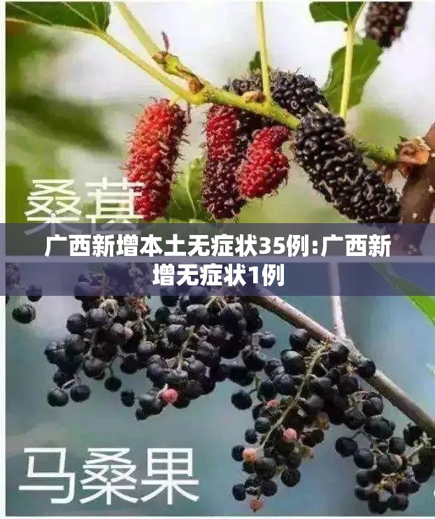 广西新增本土无症状35例:广西新增无症状1例 广西新增本土无症状35例:广西新增无症状1例