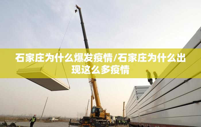 石家庄为什么爆发疫情/石家庄为什么出现这么多疫情 石家庄为什么爆发疫情/石家庄为什么出现这么多疫情