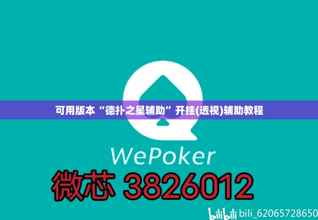 可用版本“德扑之星辅助”开挂(透视)辅助教程