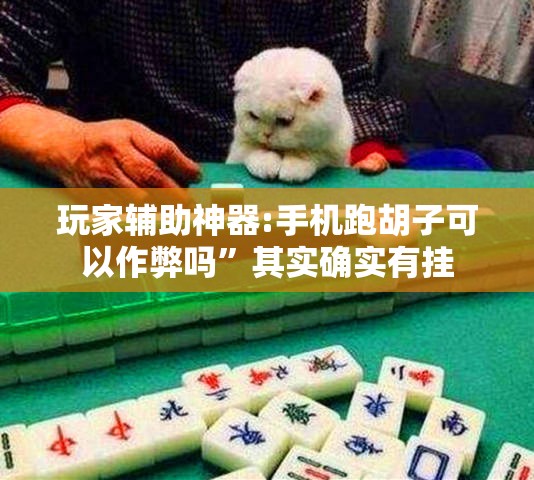 玩家辅助神器:手机跑胡子可以作弊吗”其实确实有挂