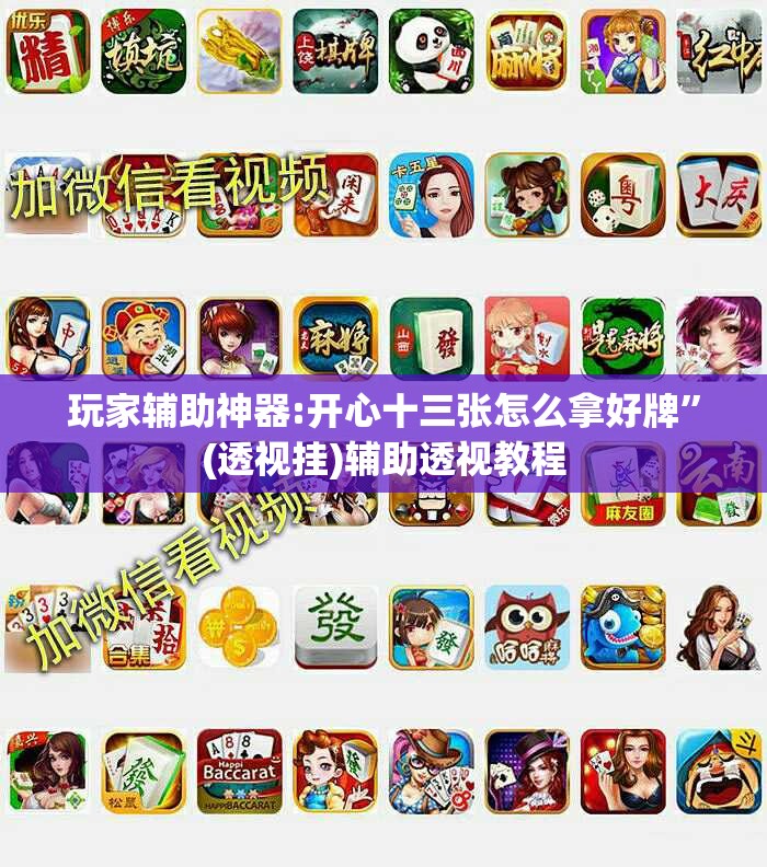 玩家辅助神器:开心十三张怎么拿好牌	”(透视挂)辅助透视教程