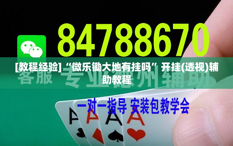 [教程经验]“微乐锄大地有挂吗”开挂(透视)辅助教程