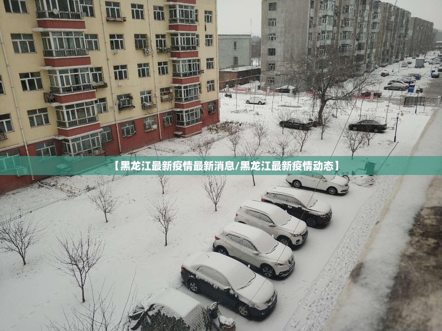 【黑龙江最新疫情最新消息/黑龙江最新疫情动态】