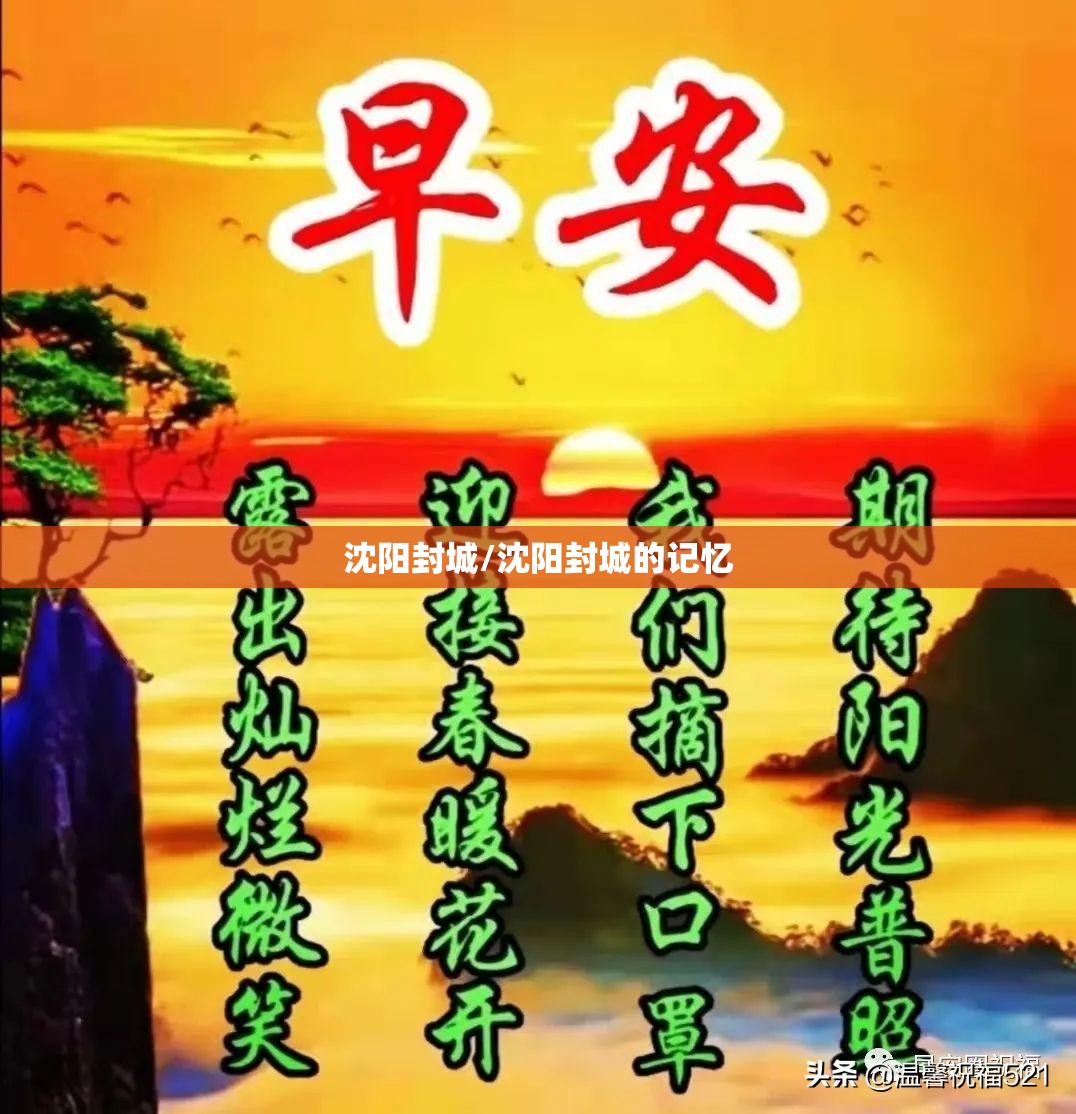 沈阳封城/沈阳封城的记忆 沈阳封城/沈阳封城的记忆