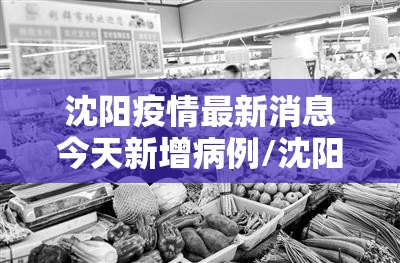 沈阳疫情最新消息今天新增病例/沈阳疫情最新消息确诊19例 沈阳疫情最新消息今天新增病例/沈阳疫情最新消息确诊19例