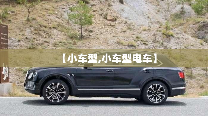 【小车型,小车型电车】