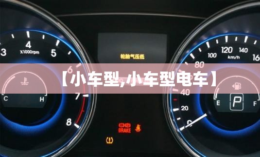 【小车型,小车型电车】