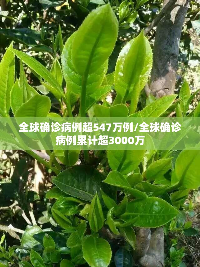 全球确诊病例超547万例/全球确诊病例累计超3000万 全球确诊病例超547万例/全球确诊病例累计超3000万