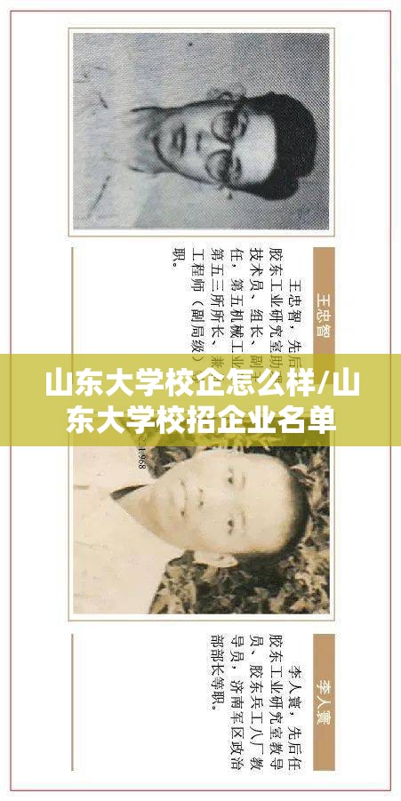 山东大学校企怎么样/山东大学校招企业名单 山东大学校企怎么样/山东大学校招企业名单