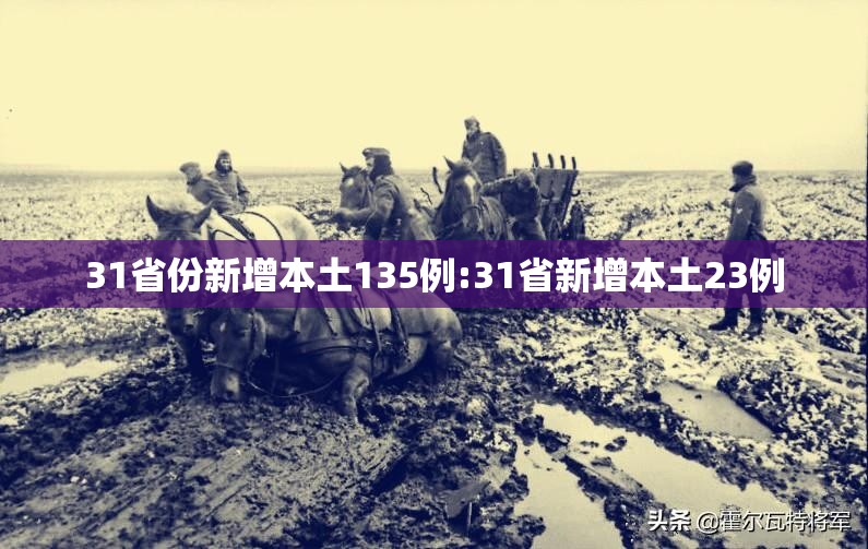 31省份新增本土135例:31省新增本土23例 31省份新增本土135例:31省新增本土23例