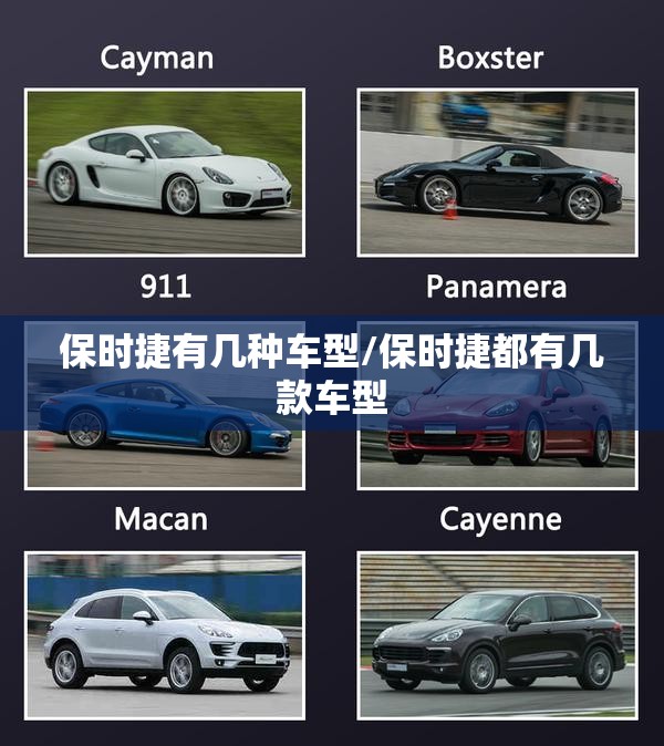 保时捷有几种车型/保时捷都有几款车型