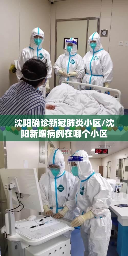 沈阳确诊新冠肺炎小区/沈阳新增病例在哪个小区 沈阳确诊新冠肺炎小区/沈阳新增病例在哪个小区