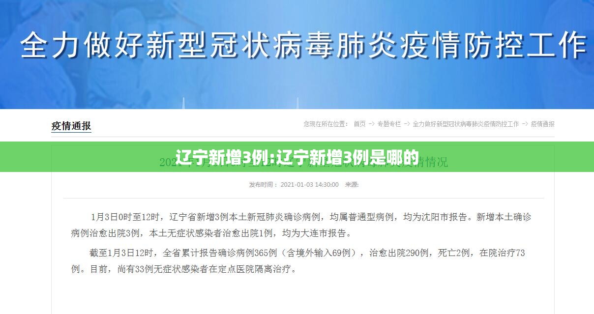 辽宁新增3例:辽宁新增3例是哪的