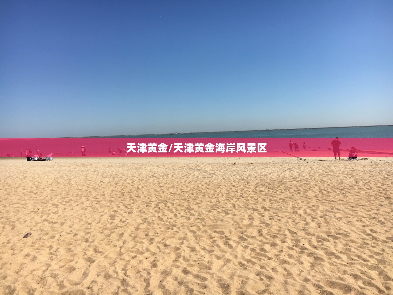 天津黄金/天津黄金海岸风景区 天津黄金/天津黄金海岸风景区