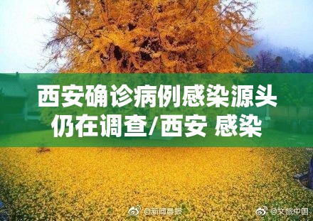 西安确诊病例感染源头仍在调查/西安 感染