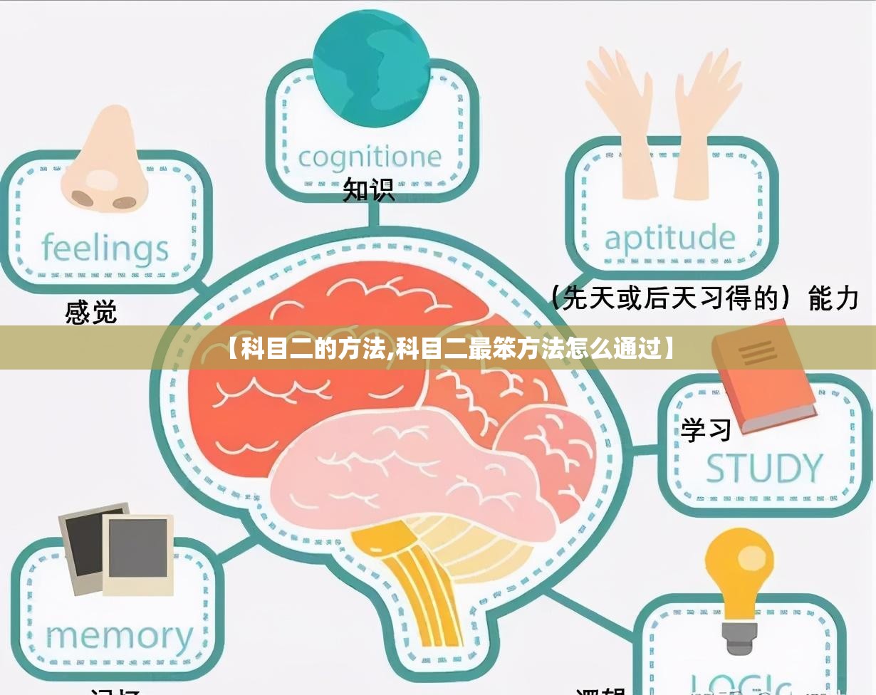 【科目二的方法,科目二最笨方法怎么通过】