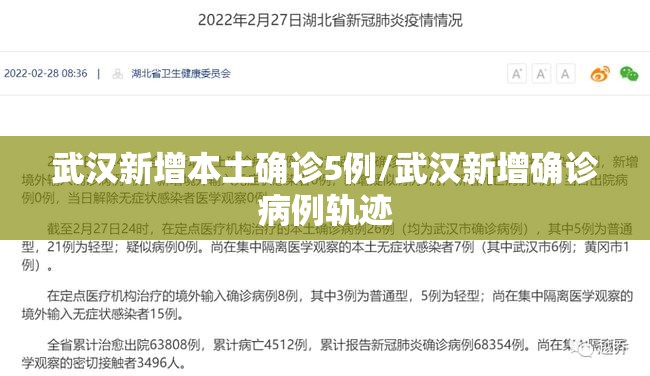武汉新增本土确诊5例/武汉新增确诊病例轨迹