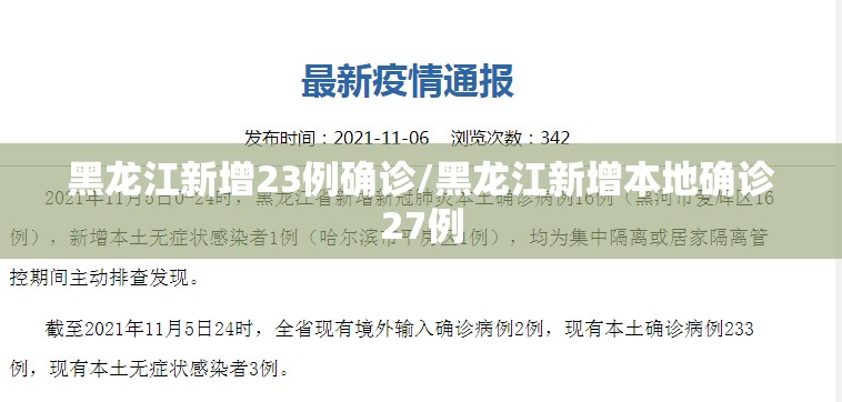黑龙江新增23例确诊/黑龙江新增本地确诊27例