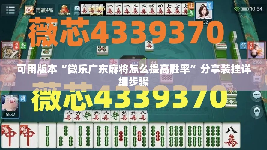 可用版本“微乐广东麻将怎么提高胜率	”分享装挂详细步骤