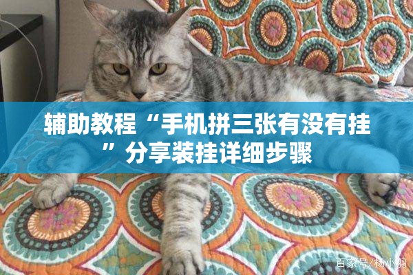 辅助教程“手机拼三张有没有挂”分享装挂详细步骤