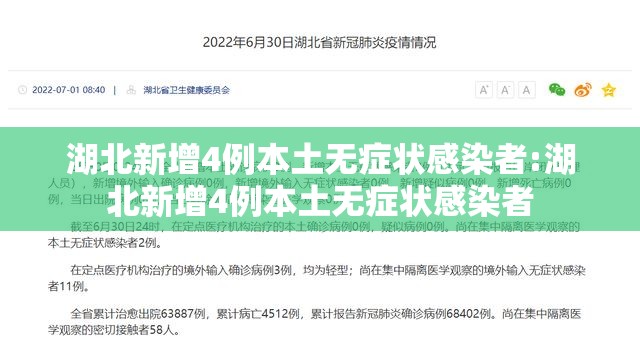 湖北新增4例本土无症状感染者:湖北新增4例本土无症状感染者