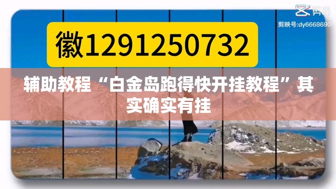 辅助教程“白金岛跑得快开挂教程”其实确实有挂