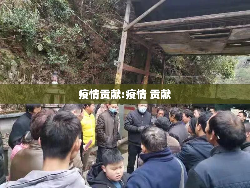 疫情贡献:疫情 贡献 疫情贡献:疫情 贡献