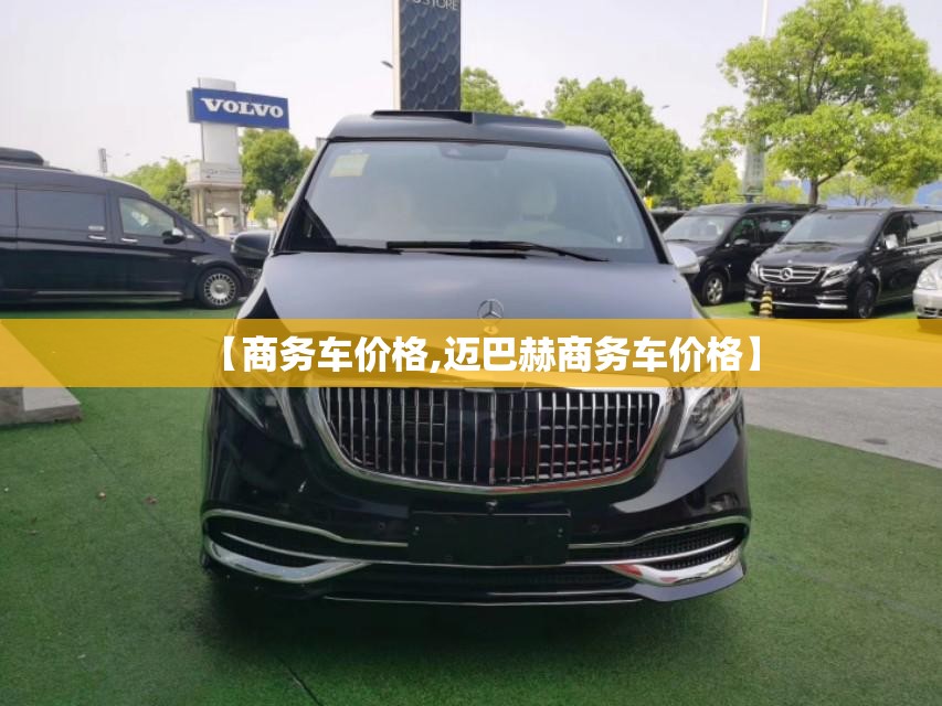 【商务车价格,迈巴赫商务车价格】