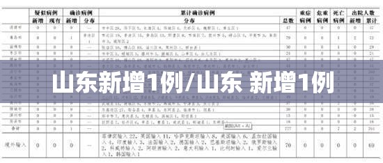 山东新增1例/山东 新增1例 山东新增1例/山东 新增1例