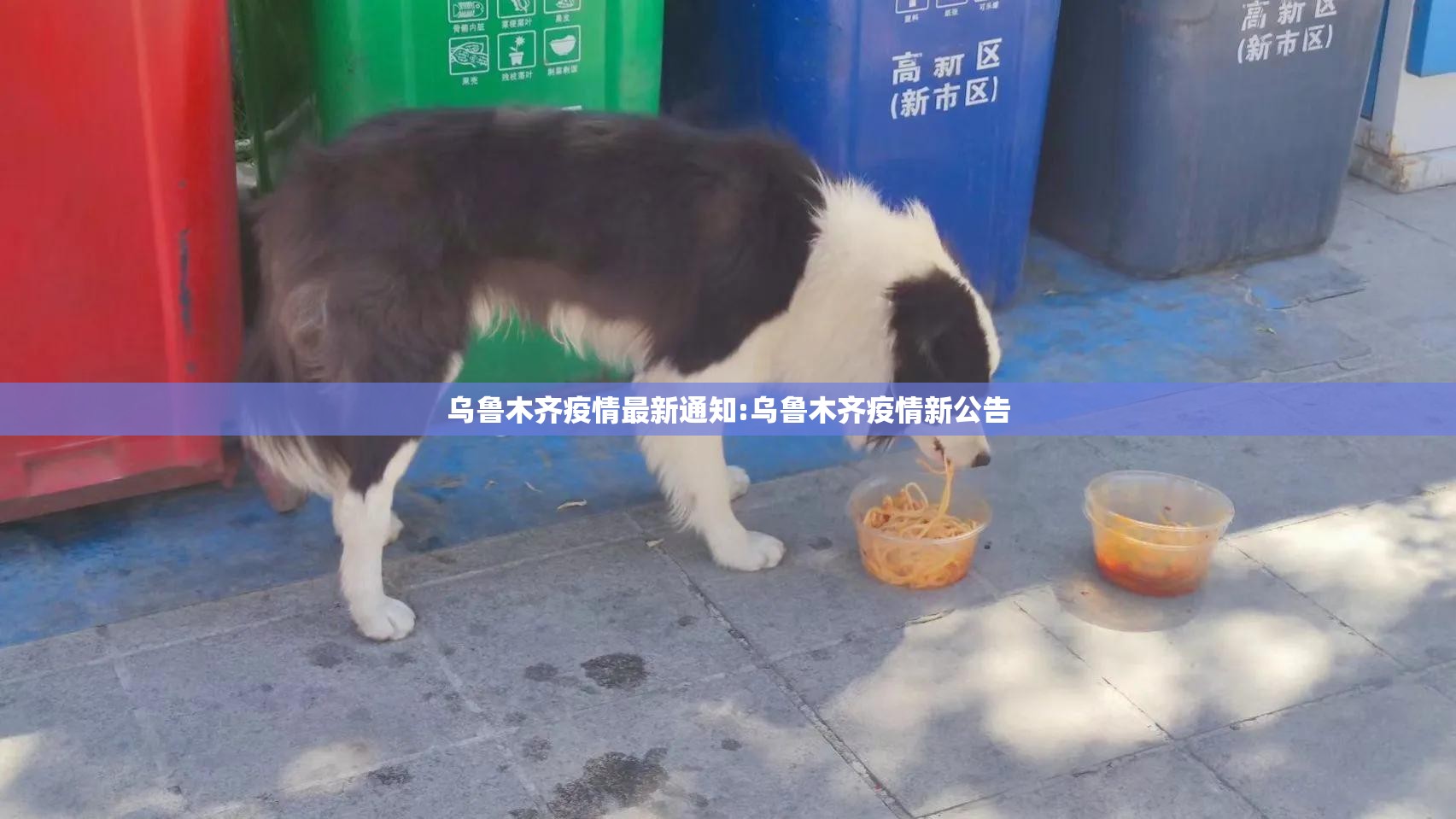 乌鲁木齐疫情最新通知:乌鲁木齐疫情新公告 乌鲁木齐疫情最新通知:乌鲁木齐疫情新公告