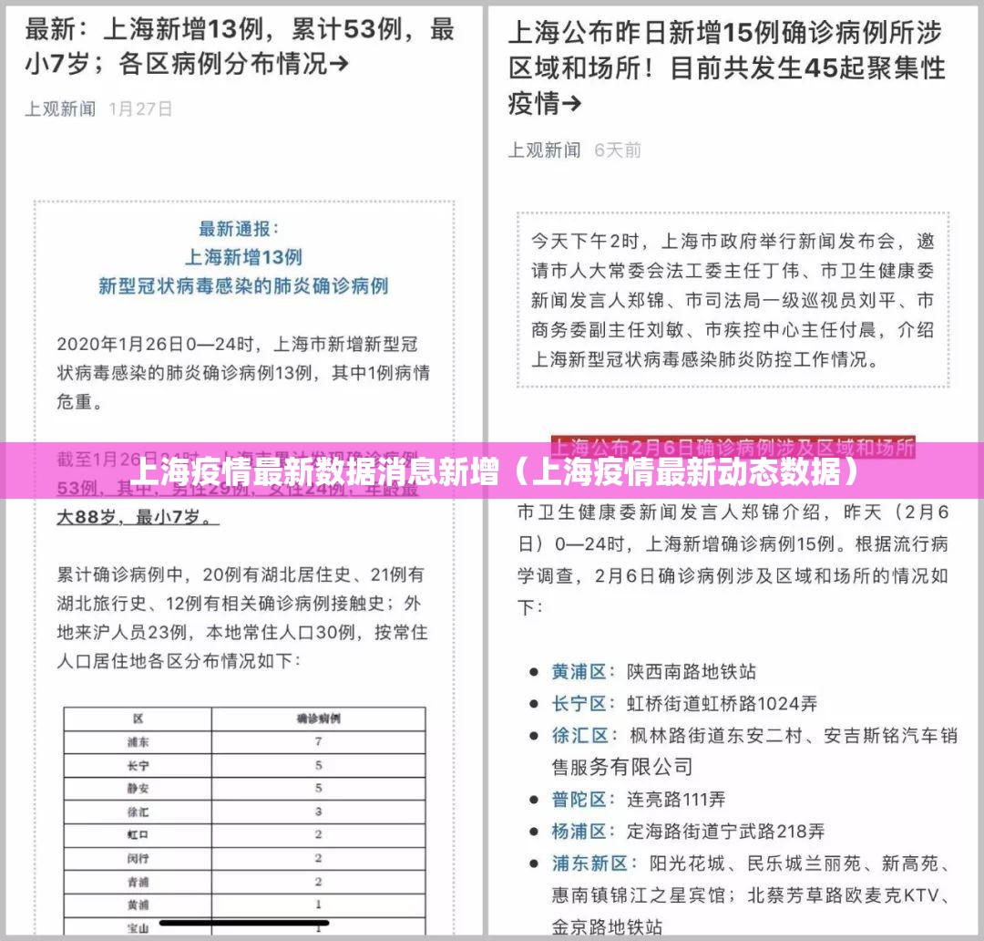 上海疫情最新数据消息新增（上海疫情最新动态数据）