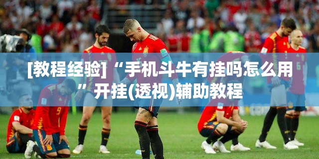 [教程经验]“手机斗牛有挂吗怎么用”开挂(透视)辅助教程