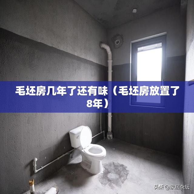 毛坯房几年了还有味（毛坯房放置了8年）