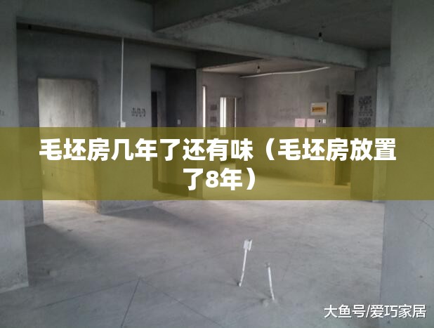 毛坯房几年了还有味（毛坯房放置了8年）