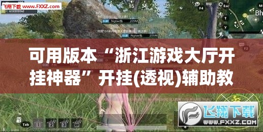 可用版本“浙江游戏大厅开挂神器”开挂(透视)辅助教程