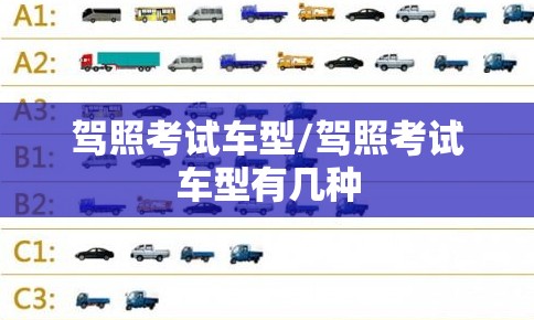 驾照考试车型/驾照考试车型有几种