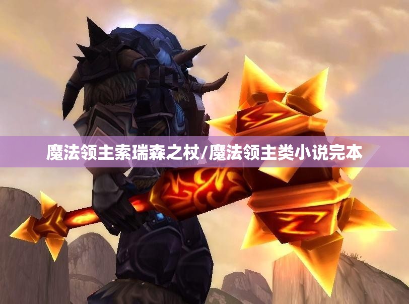 魔法领主索瑞森之杖/魔法领主类小说完本