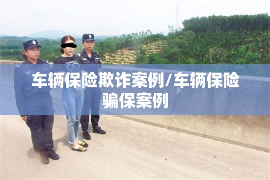车辆保险欺诈案例/车辆保险骗保案例 车辆保险欺诈案例/车辆保险骗保案例