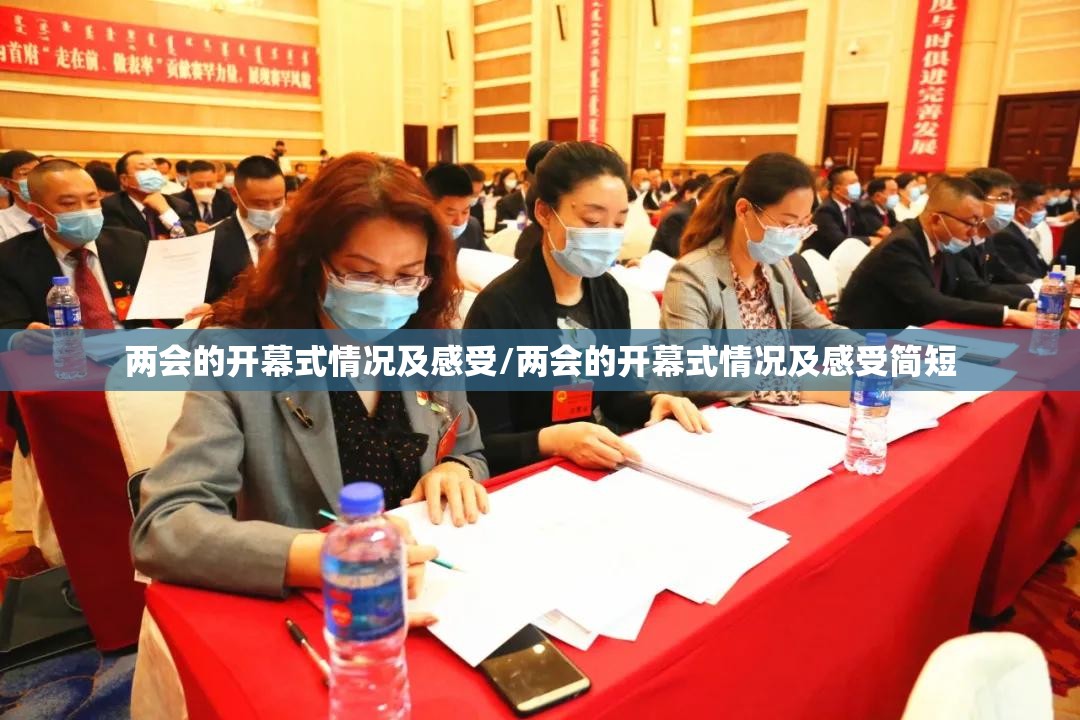 两会的开幕式情况及感受/两会的开幕式情况及感受简短