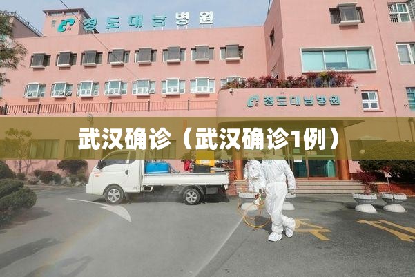 武汉确诊（武汉确诊1例）