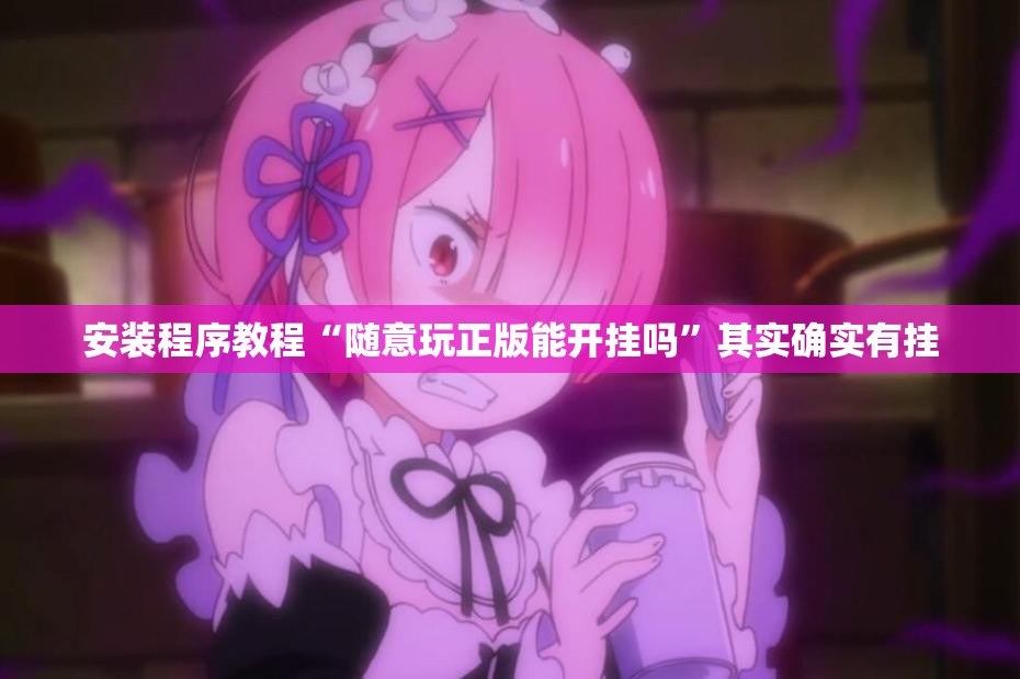 安装程序教程“随意玩正版能开挂吗”其实确实有挂
