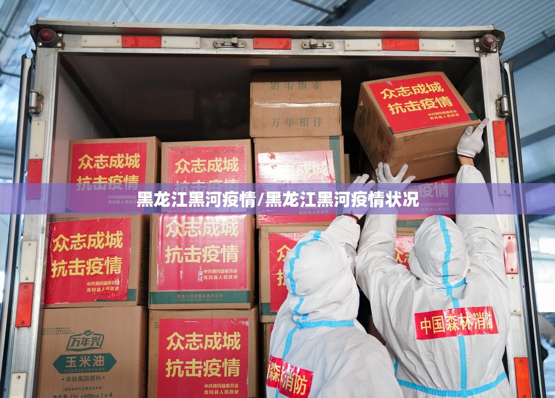 黑龙江黑河疫情/黑龙江黑河疫情状况