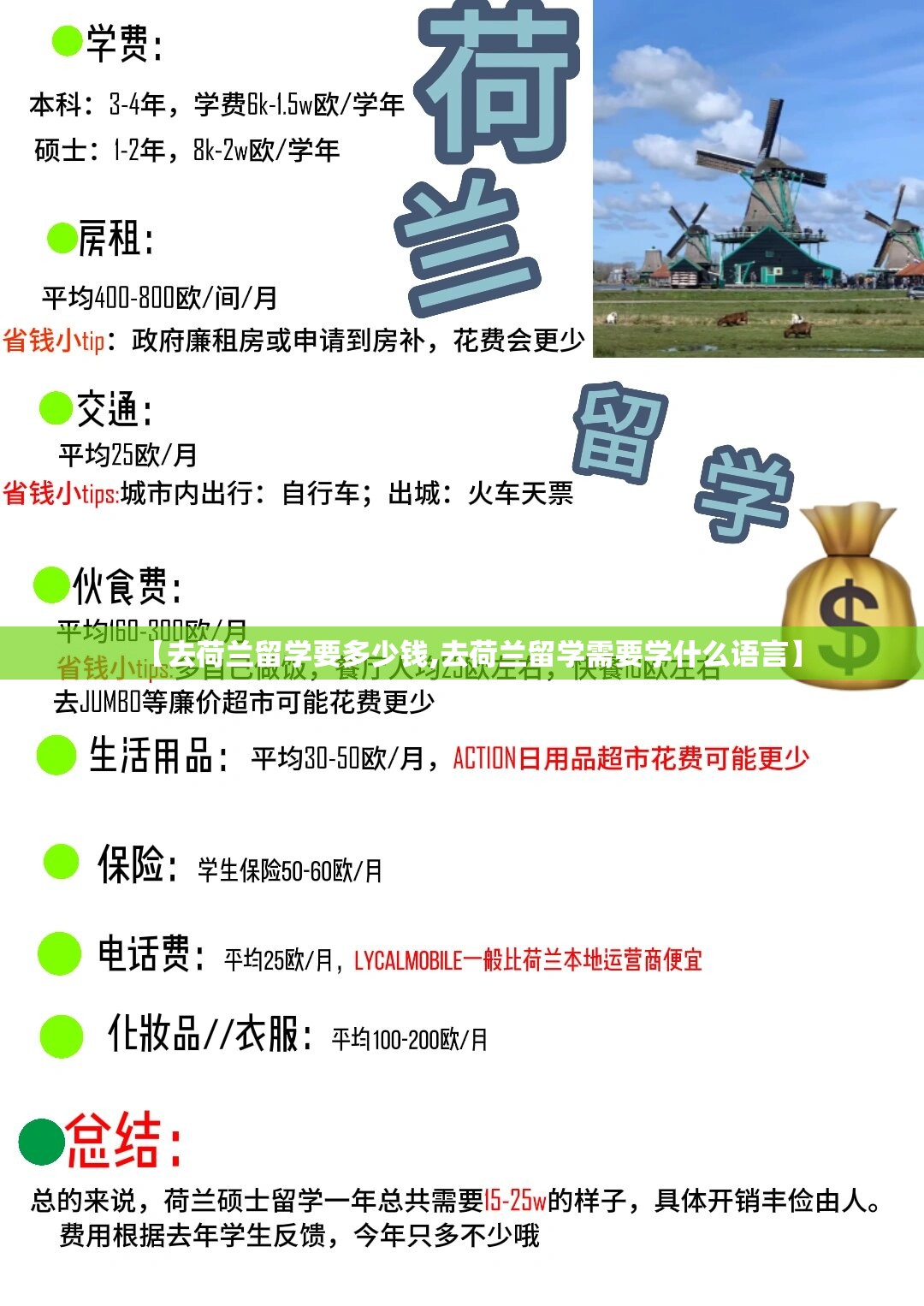 【去荷兰留学要多少钱,去荷兰留学需要学什么语言】